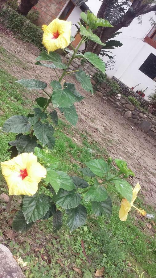 Residencial Valle Sagrado-Vilcabamba Εξωτερικό φωτογραφία
